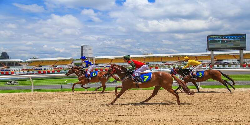 Tổng quan về cá cược đua ngựa kinh điển tại OK9